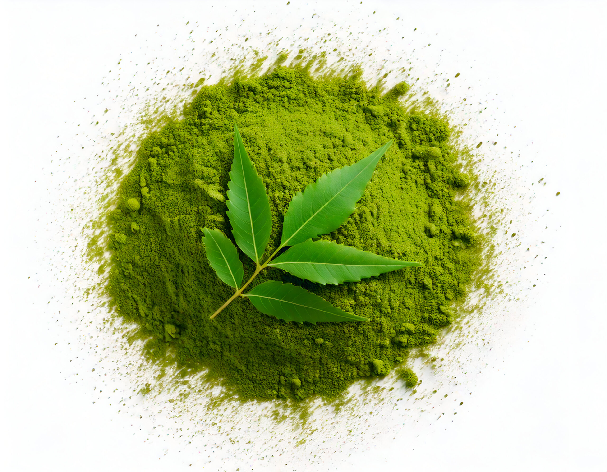 Moringa Powder